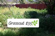 Grasscut 🌿👷🏻🏡 $35 en Los Angeles