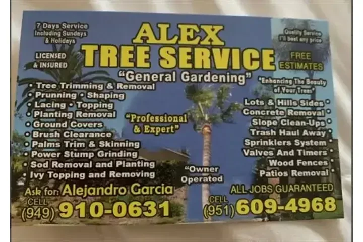 Alex Tree Services image 10