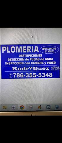 PLOMERIA 24H🏫786-355-5348 image 1