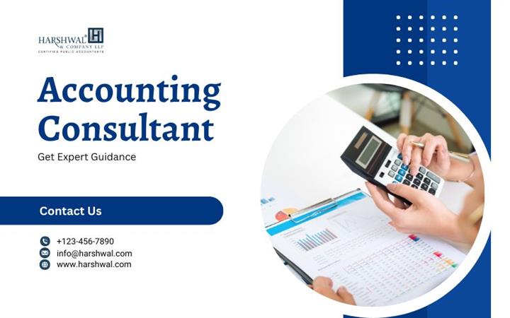 Custom Accounting Consultant image 1