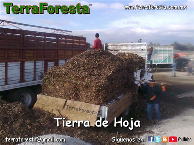 TIERRA NEGRA POR CAMION o BULT image 4