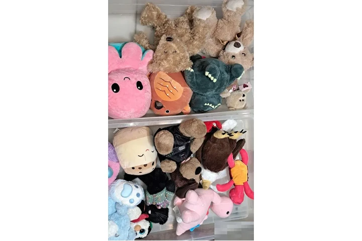 $300 : PAQUETE DE 19 PELUCHES DIFEREN image 6