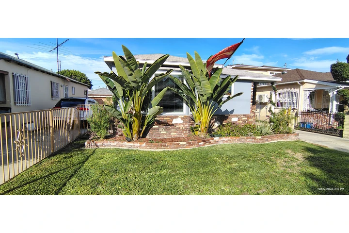 Corte de pasto 🌿👷🏼 image 2