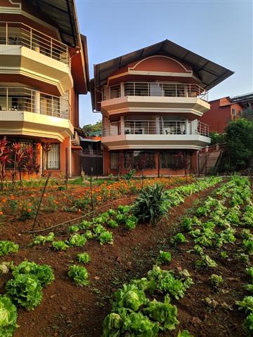 Best Hotel in Mahabaleshwar image 1