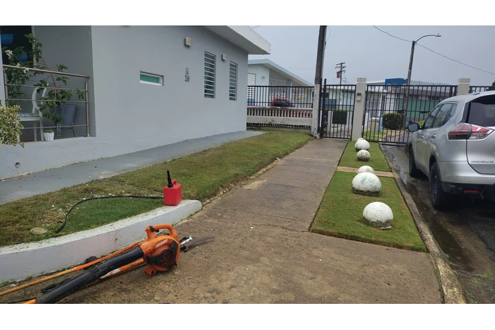 (JSLANDSCAPE) +17879420642 image 6