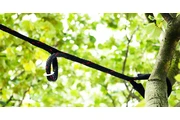 TranquiliTree Expert Tree Care en Fort Lauderdale