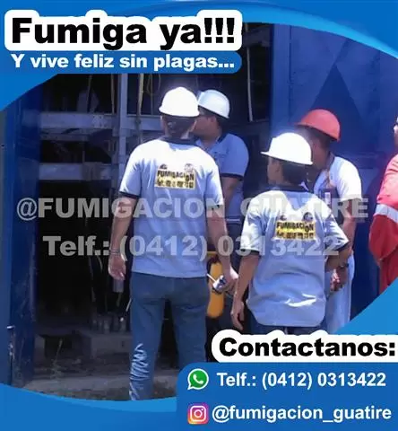 fumigacion caracas guarenas image 3