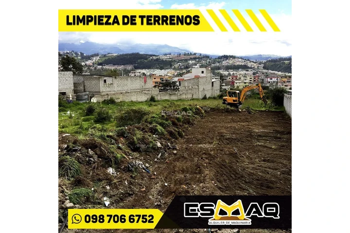 Extracción de troncos image 6