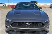 Used 2022 Mustang EcoBoost Pr thumbnail
