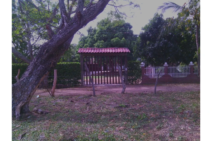 $250000000 : HERMOSA CASA QUINTA HOBO HUILA image 7