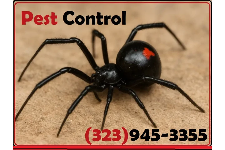 PEST CONTROL SERVICES⭐⭐⭐⭐⭐L.A. image 2