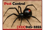 PEST CONTROL SERVICES⭐⭐⭐⭐⭐L.A. thumbnail