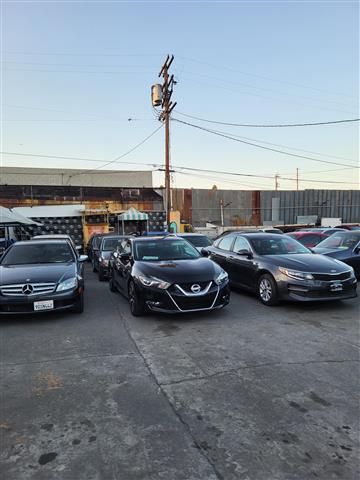 Public auto auction image 1