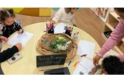Child Care's School Readiness