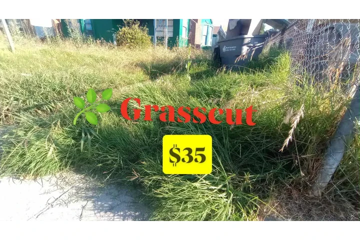 Jardinero $35🍀🌿💳📱 image 6
