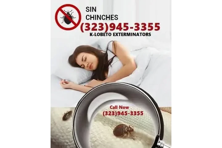 Bed Bugs-Chinches Fumigaciónes image 7