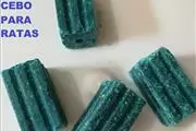 Fumigaciones en Quito thumbnail