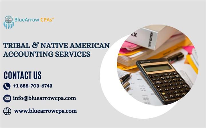 Native American Accounting image 1