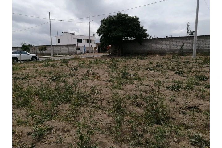 $30000 : Venta de terreno image 2