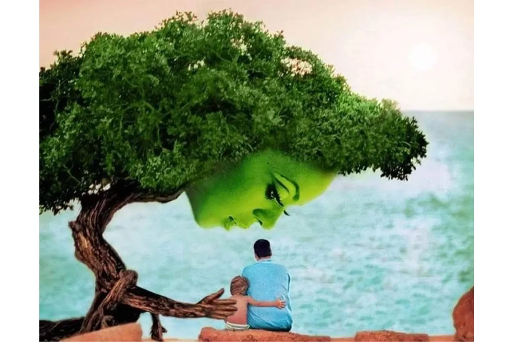 CONTROL DE PLAGAS image 2