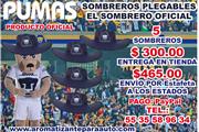 $300 : PARA LOS PUMAS UNAM SOMBREROS thumbnail