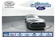 Ford Mustang 2021 EcoBoost P