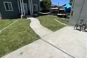 CLEAN UP YARD BERKELEY CA en San Francisco Bay Area