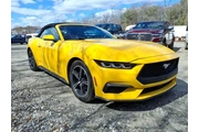 Ford Mustang 2024 EcoBoost P