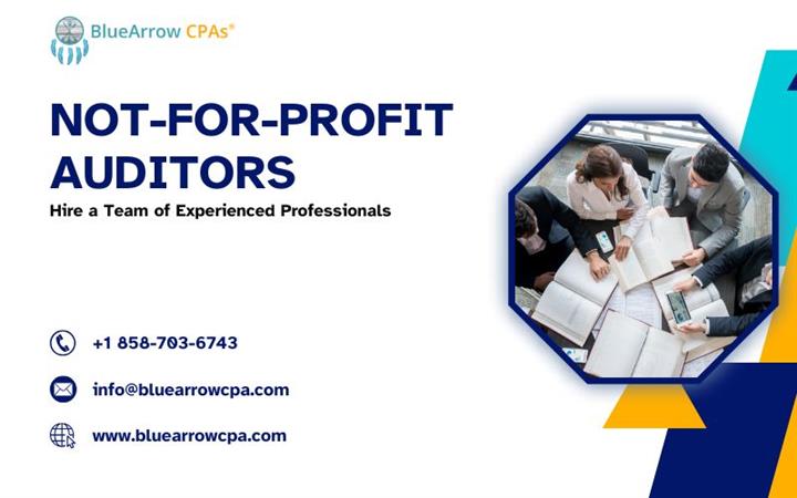 Not for profit auditors image 1