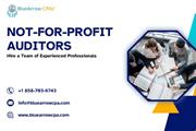 Not for profit auditors