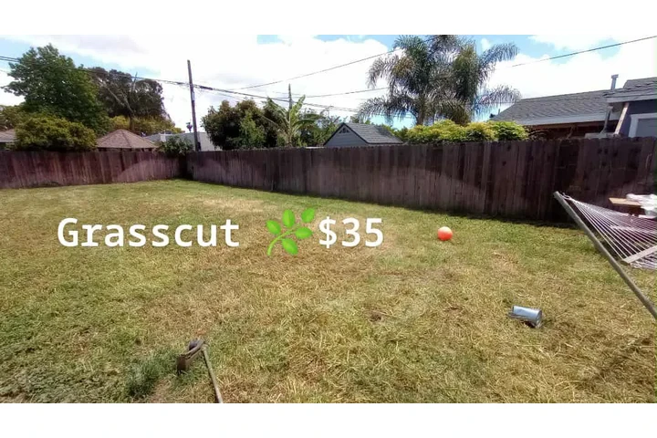 Corte de pasto 🌿👷🏼 image 4