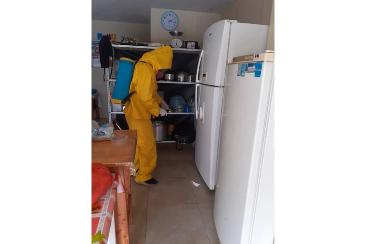 Servicio profesional de fumiga image 3