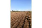 GARCIA LANDSCAPING SERVICES thumbnail
