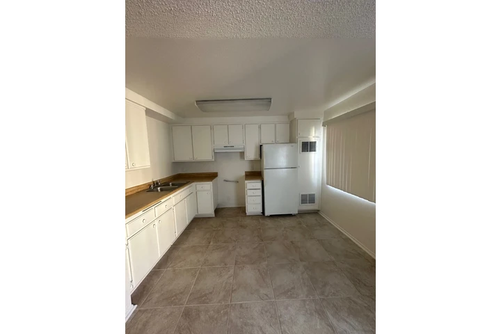 SOLAMENTE (55+) APTS DE 1 REC. image 1