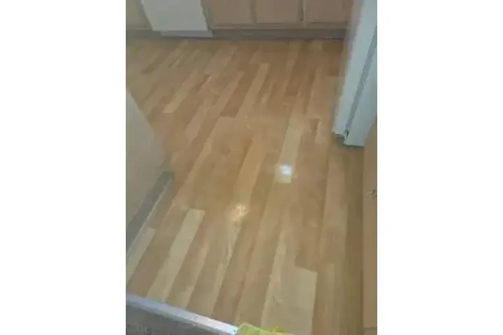 LIMPIEZA PROFESIONAL image 5