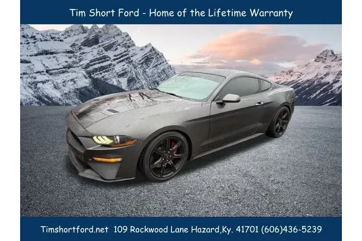 $19524 : Ford Mustang 2019 EcoBoost 2 image 1