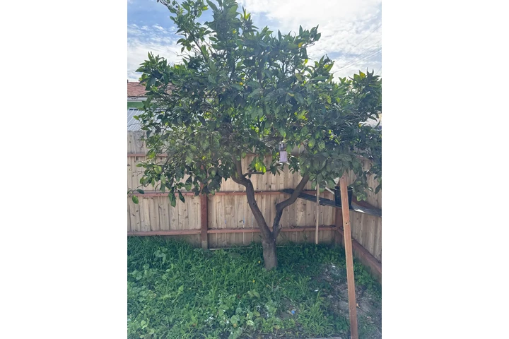 $1899 : Apartamento studio image 6