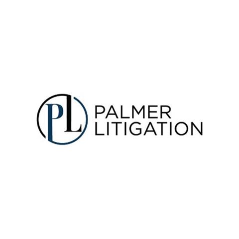 Palmer Litigation image 1