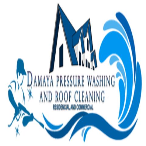 Damaya Pressure Washing image 1