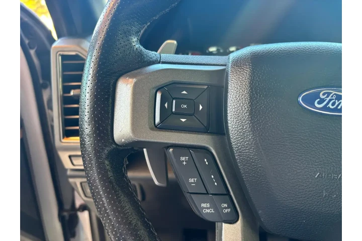 2018 F-150 Raptor image 9