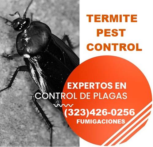Fumi-Gas-Termite-Pest-Control image 2