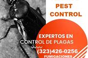 Fumi-Gas-Termite-Pest-Control thumbnail