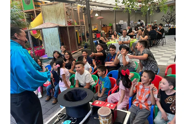 Show de Magia FIESTA INFANTIL image 8