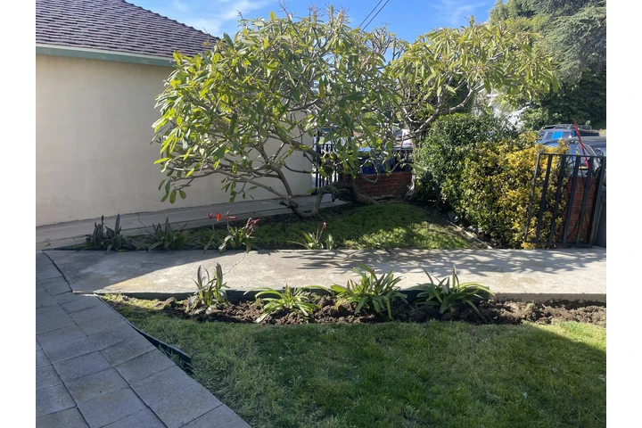 Dylan,s gardening services image 2