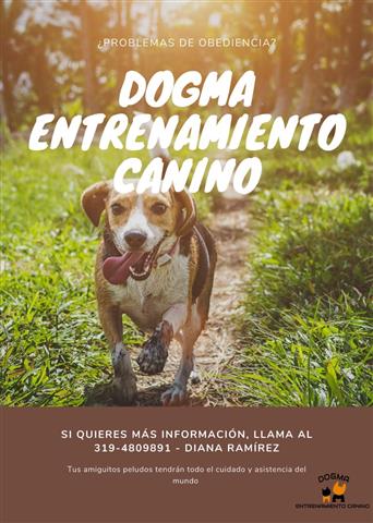 DOGMA Entrenamiento Canino image 1