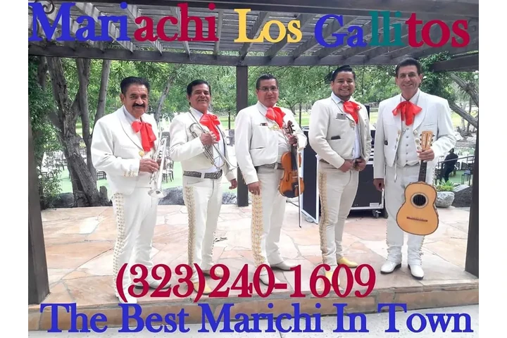 Mariachi Los Gallitos For Hire image 1