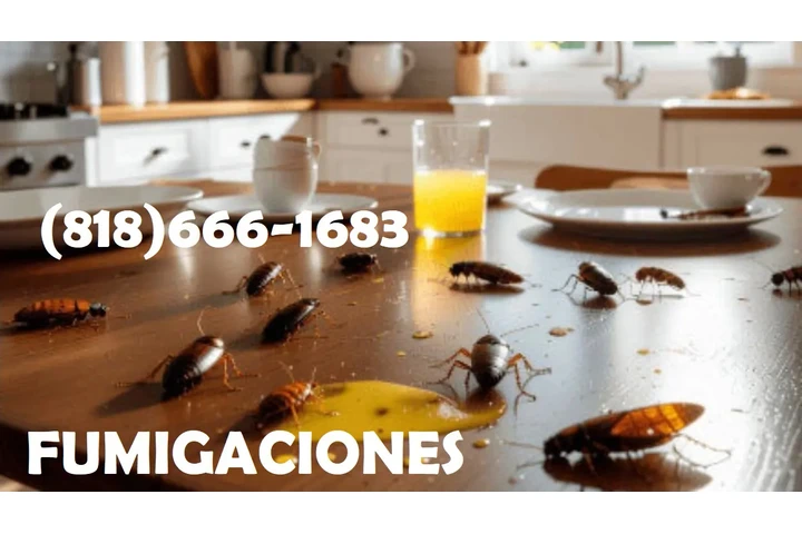 FUMIGADORES PLAGAS - TERMITES image 1