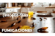 FUMIGADORES PLAGAS - TERMITES en Orange County
