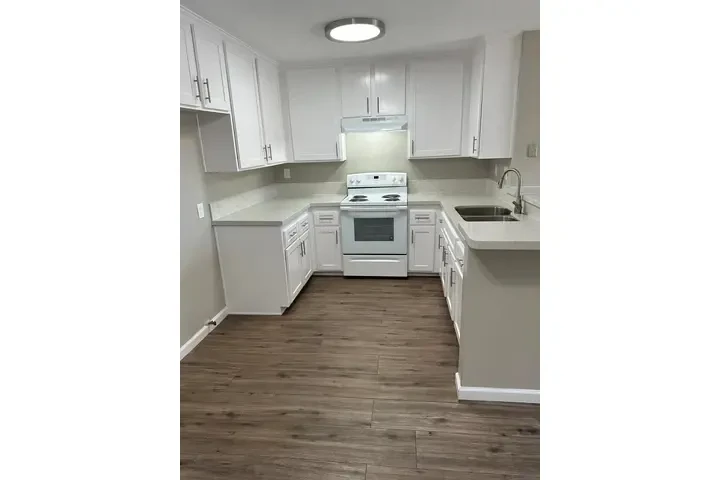 PLACENTIA APTS. DISPONIBLES image 5