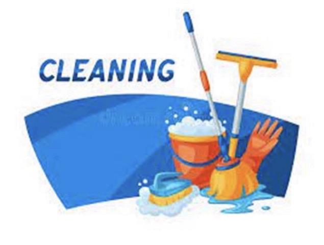 CLEANER NEEDED URGENTLY image 1